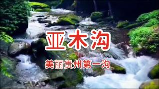 天命奇御